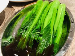 蚝油菜心-敏华冰厅(天河城店)