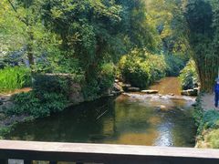 -重庆彩云湖湿地公园