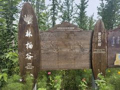 -林栖谷森林康养度假区