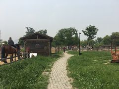 -田园东方蜜桃村的田野营地