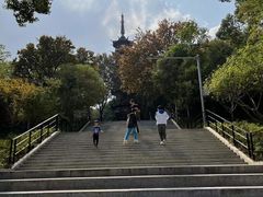 -上海佘山国家森林公园西佘山园