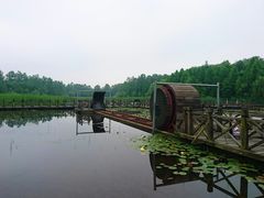 -溱湖国家湿地公园