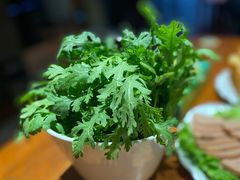 茼蒿-葛记红焖羊肉(人民路店)