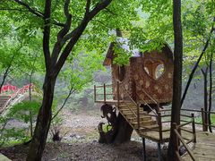 -关门山森林公园