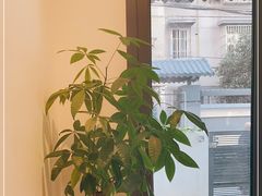 -PAUSE CAFE(南秀村店)