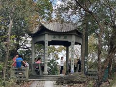 -午潮山国家森林公园