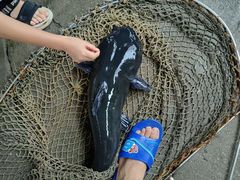 -溪悦渔庄(九龙湖店)