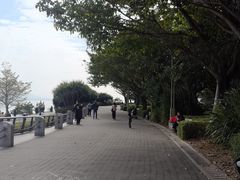 -深圳湾公园(南山区)