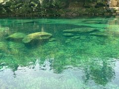 -石台牯牛降景区