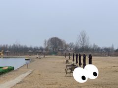 -泗洪洪泽湖湿地景区