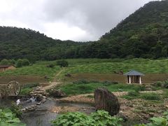 -广州市石门国家森林公园