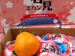 -上海龙吴水胜海发市场