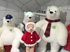 -济州岛泰迪熊博物馆