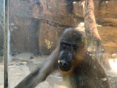 -泉州海丝野生动物世界