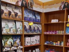 -瑞派雷欧宠物医院·中兽医·眼科·急重症转诊中心(黄台店)