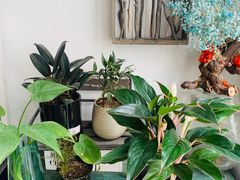 -泉乐坊步行街(烟酒特产平价超市店)