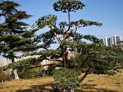 -白塘生态植物园