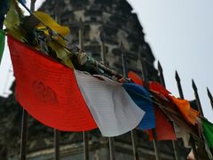 -云岗森林公园