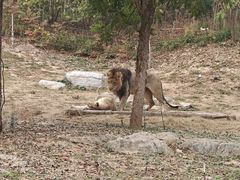 -北京野生动物园