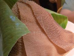 -九鼎轩脆毛肚火锅(三钢里店)