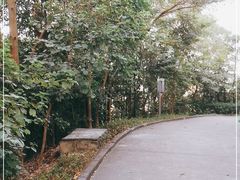 -小南山公园