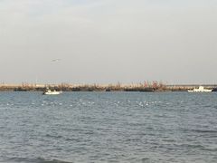-刘家湾赶海园
