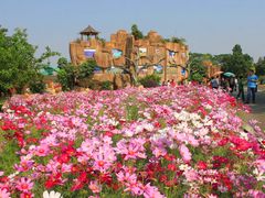 -松山湖南湖湾露营营地