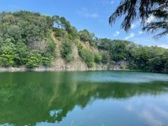 -王借岗森林公园