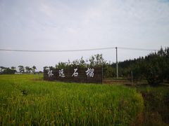 -嘉北郊野公园