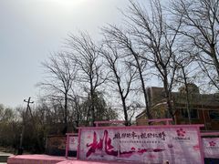 -桃花堤公园