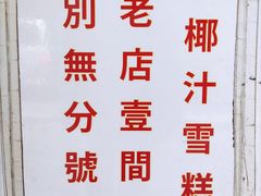 -洪馨椰子