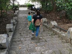 -紫金山山顶公园