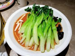 -新白鹿餐厅(金鹰新街口店)