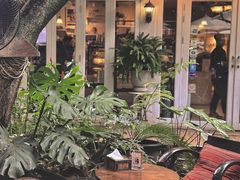 -Fern Forest Cafe