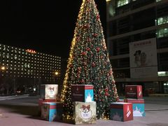 -天津滨海圣光皇冠假日酒店 霞·日餐厅