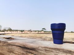 -盘龙城国家考古遗址公园