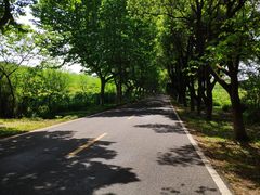 -宜兴龙背山森林公园