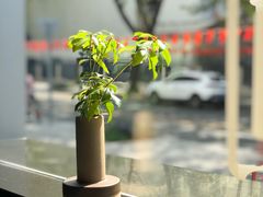 -物质生活书·酒吧
