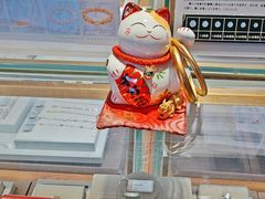 -品真阁华夏典当行(四通桥店)