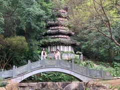 -深圳国际园林花卉博览园