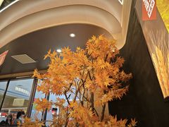 -东北范·金牌肘子·杀猪菜(美乐城店)