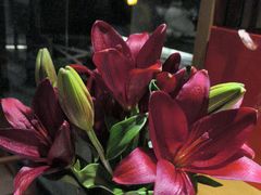 -花锦堂·隐庐