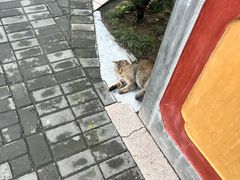 -高旻寺