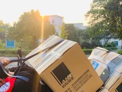 -蚂蚁搬家成都打包搬运公司