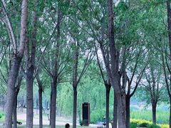 -马家湾湿地公园
