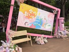 -金鸡湖桃花岛
