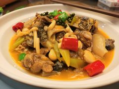 -新木器时代餐厅(太湖新天地店)