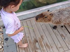 -郑州银基黄帝宫御温泉