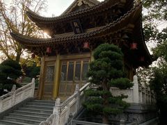 -上海东林寺(金山区)