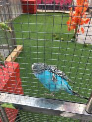 点击看大图 -萌宠亲子动物乐园(槐房万达店)